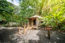 hebergement-sud-caraibe-anses-d-arlet-anse-noire-proche-plage-1