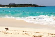 Mullet Bay 