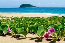 Plage de Cluny