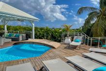 Rent a luxury villa with pool - pool and shelter