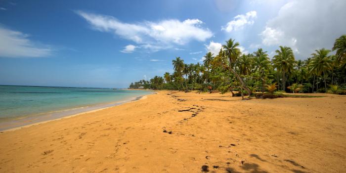 Las terrenas Playa El Portillo