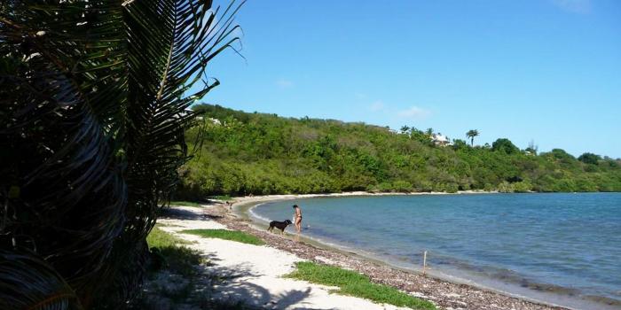 Anse à la Barque 