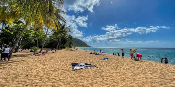 Plage de Grande Anse