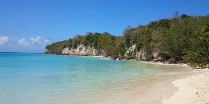 Anse Canot (Saint Louis de Marie Galante)