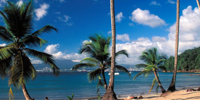 Plage de l'Anse à l'Ane