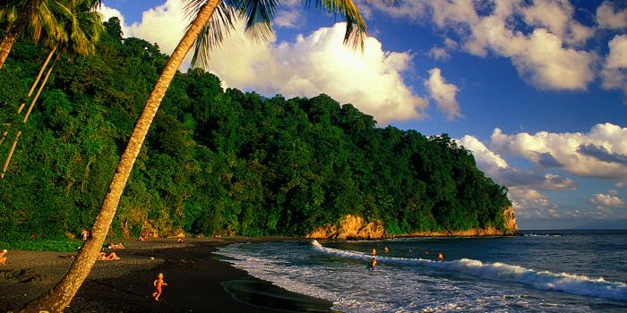 The Best Beaches in Martinique