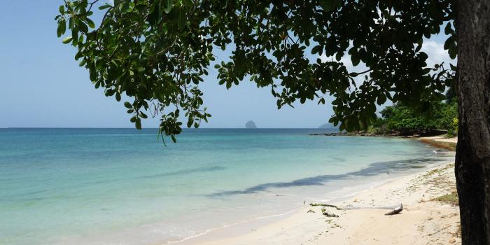 Anse Mabouya