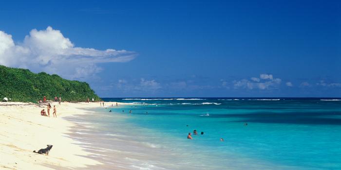 Plage Cap Macré Martinique