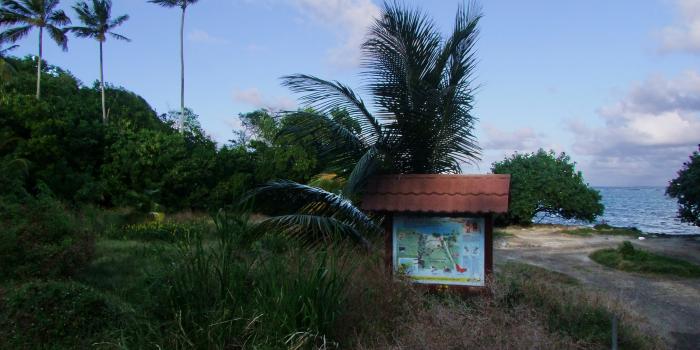 Plage de Pointe la Rose