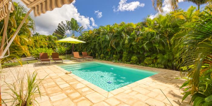 Villa Guadeloupe - the swimming pool