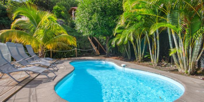 location maison martinique avec piscine à sainte luce