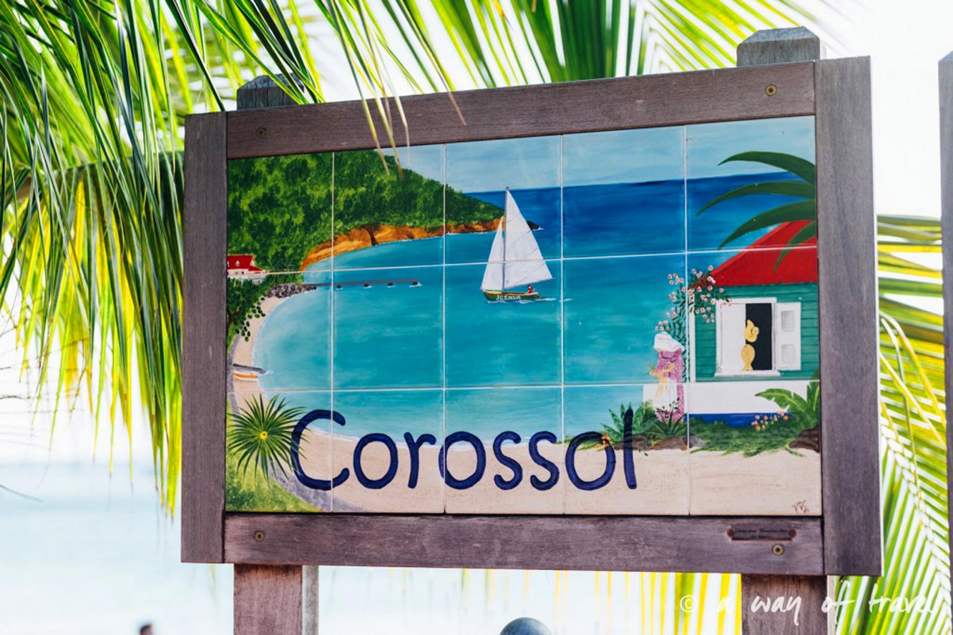 Corossol à Saint Barthélémy