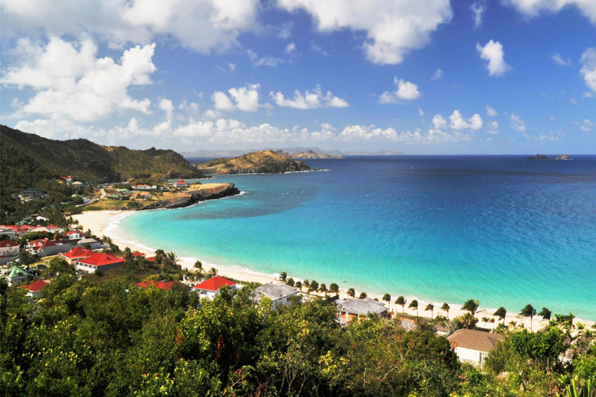 Flamands à Saint Barthélémy