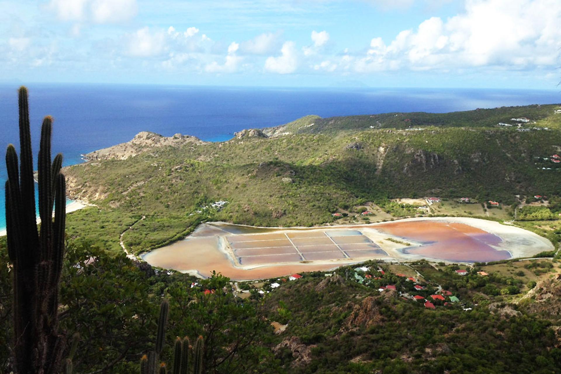 Salines à Saint Barthélémy