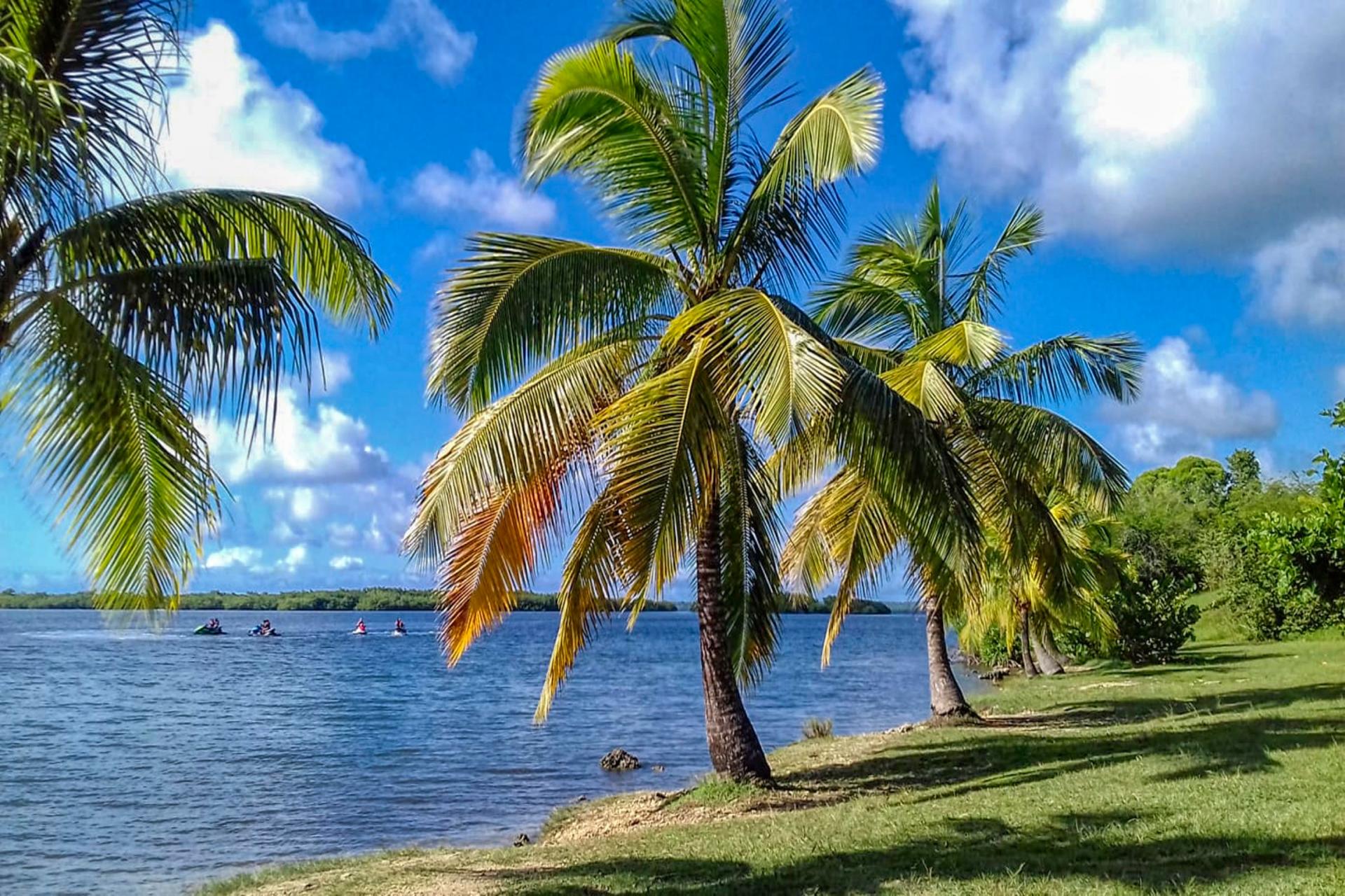 Plage de l'Anse Babin Morne à l'eau Guadeloupe