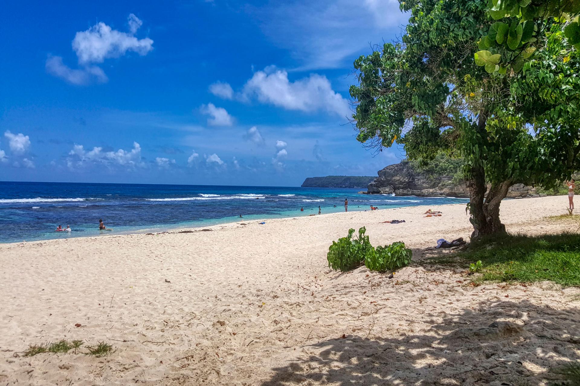 Plage Anse Laborde Anse Bertrand Guadeloupe