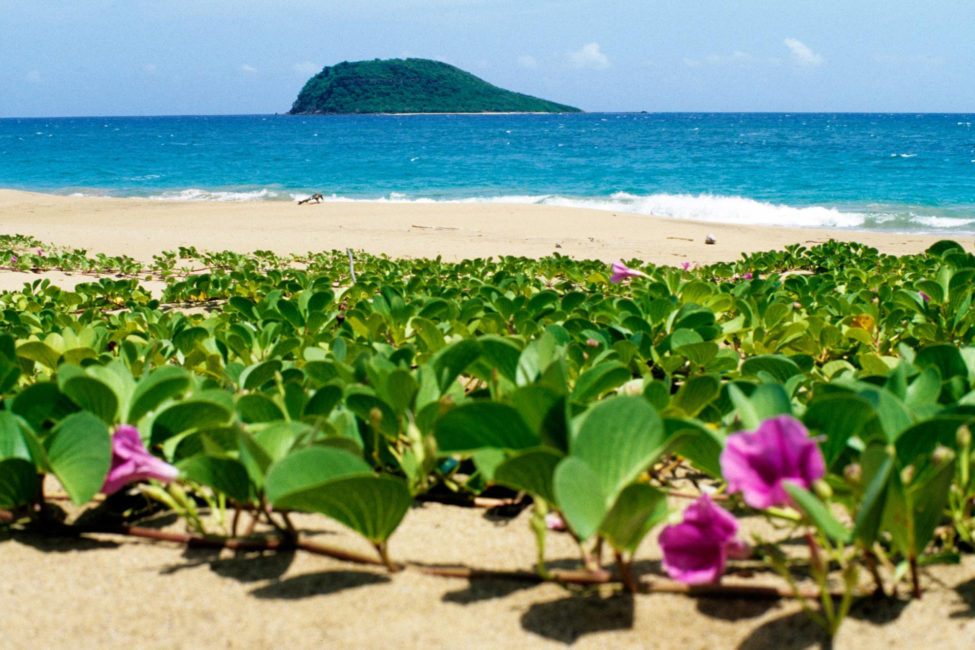 Cluny beach