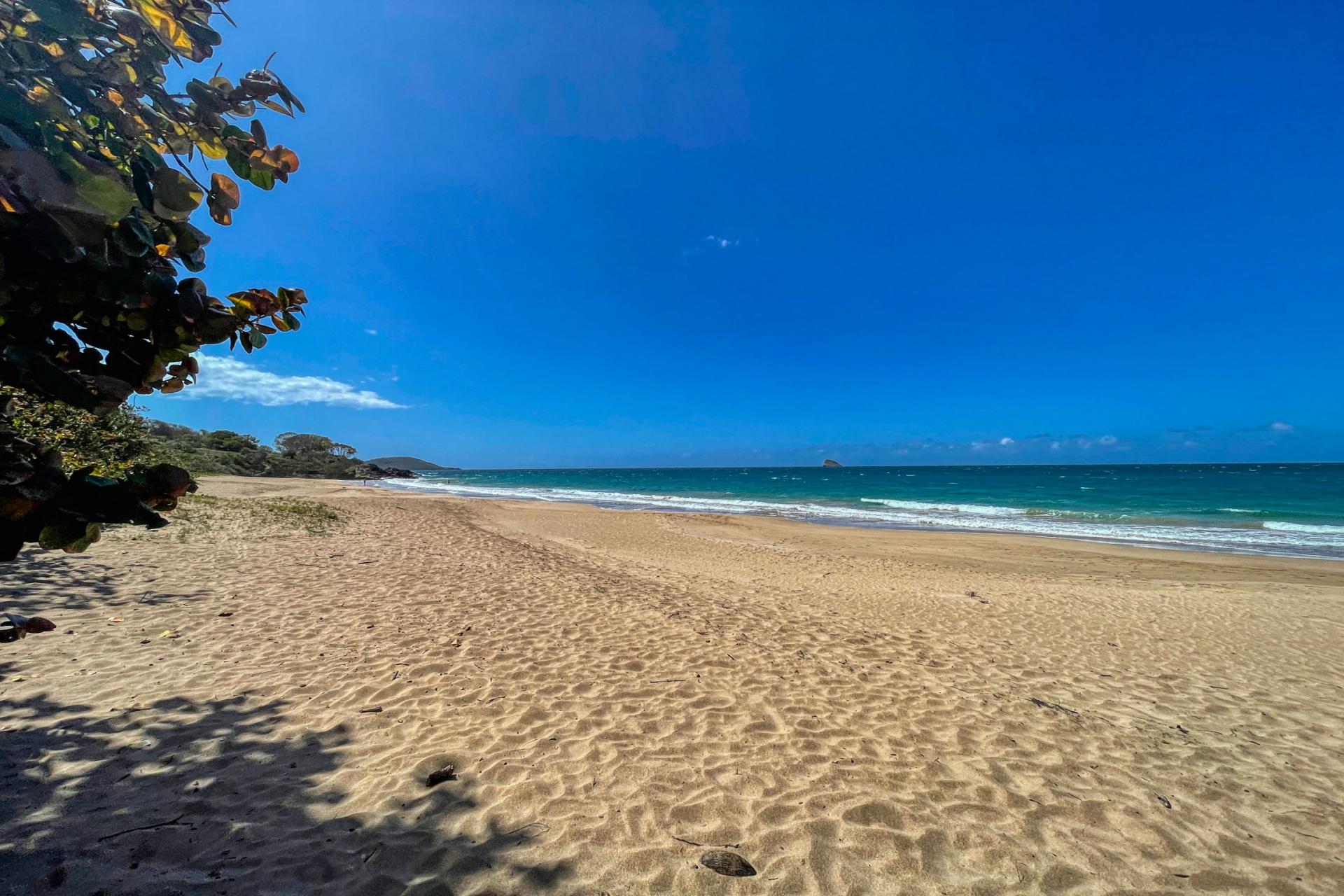 Plage de Cluny