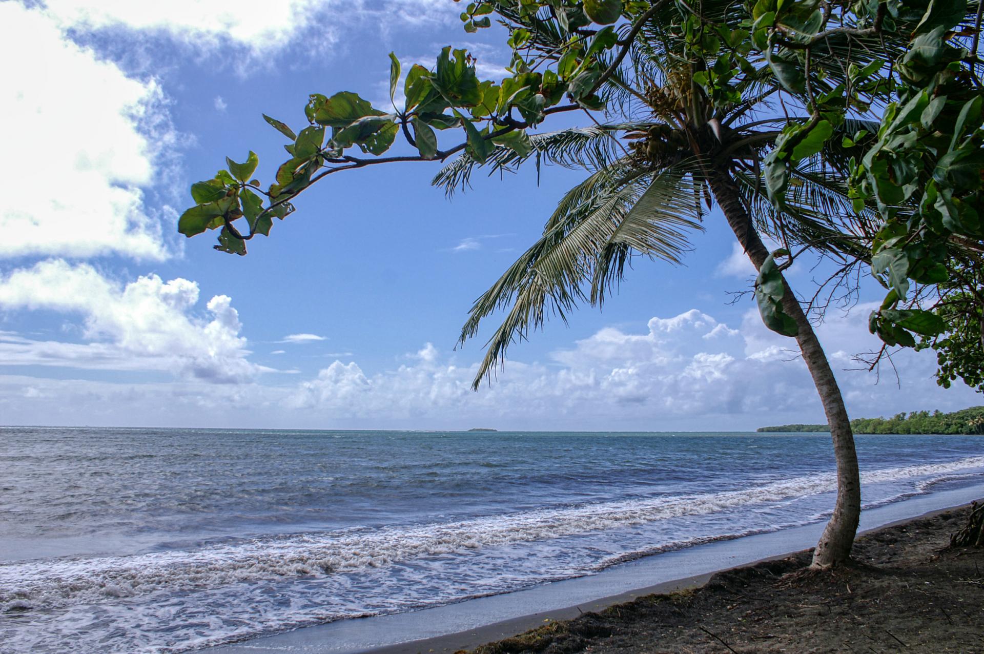 Plage de Viard Petit Bourg Guadeloupe