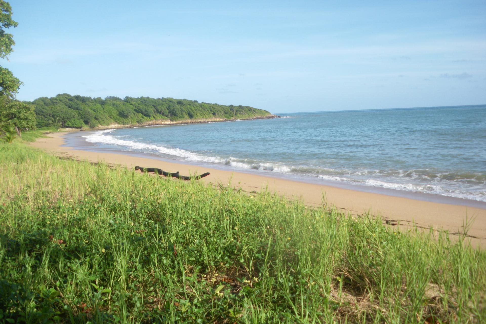 Plage des Amandiers beach