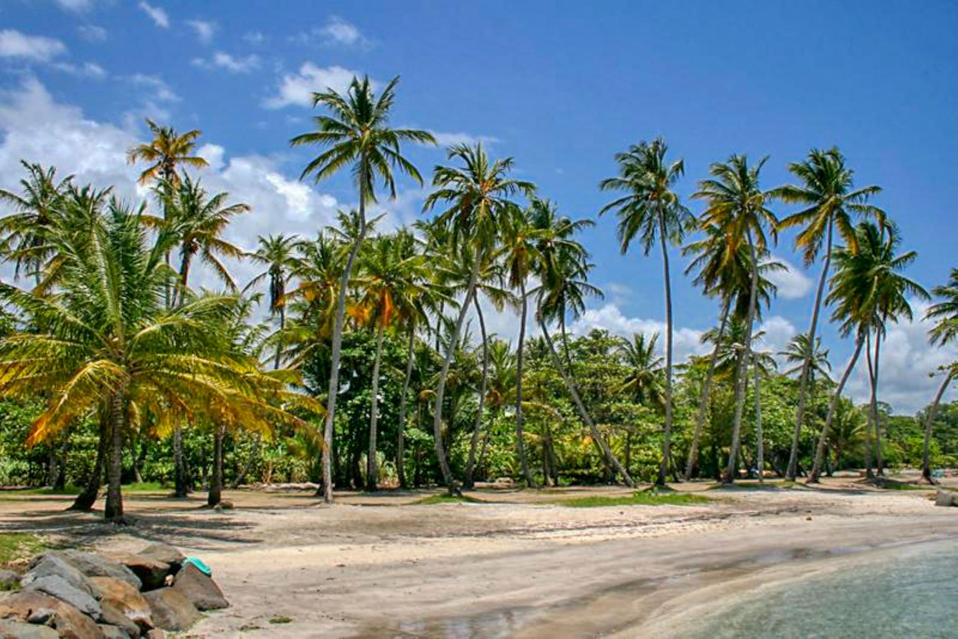 Plage de Roseau Pelican Capesterre Belle Eau Guadeloupe