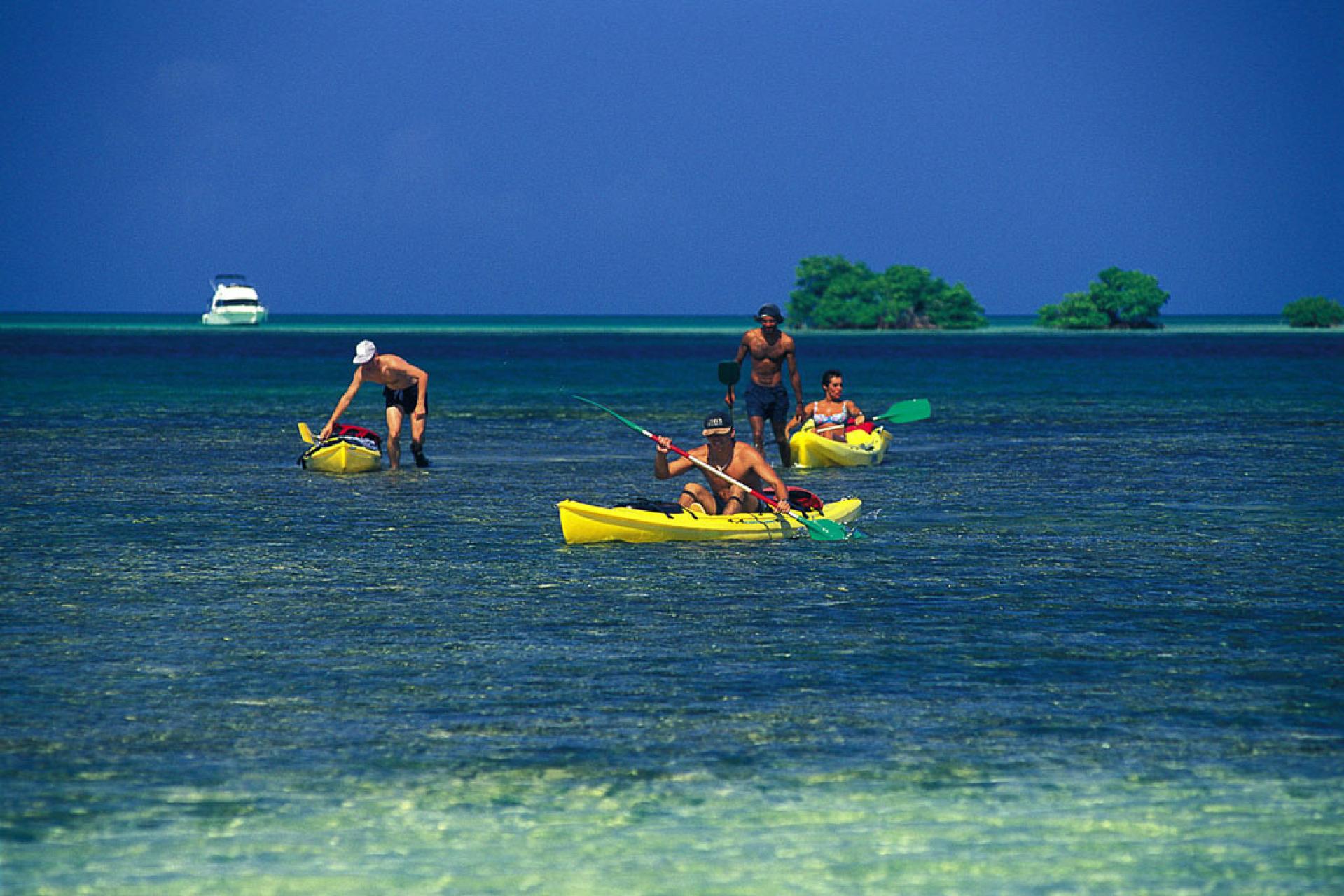 Kayak