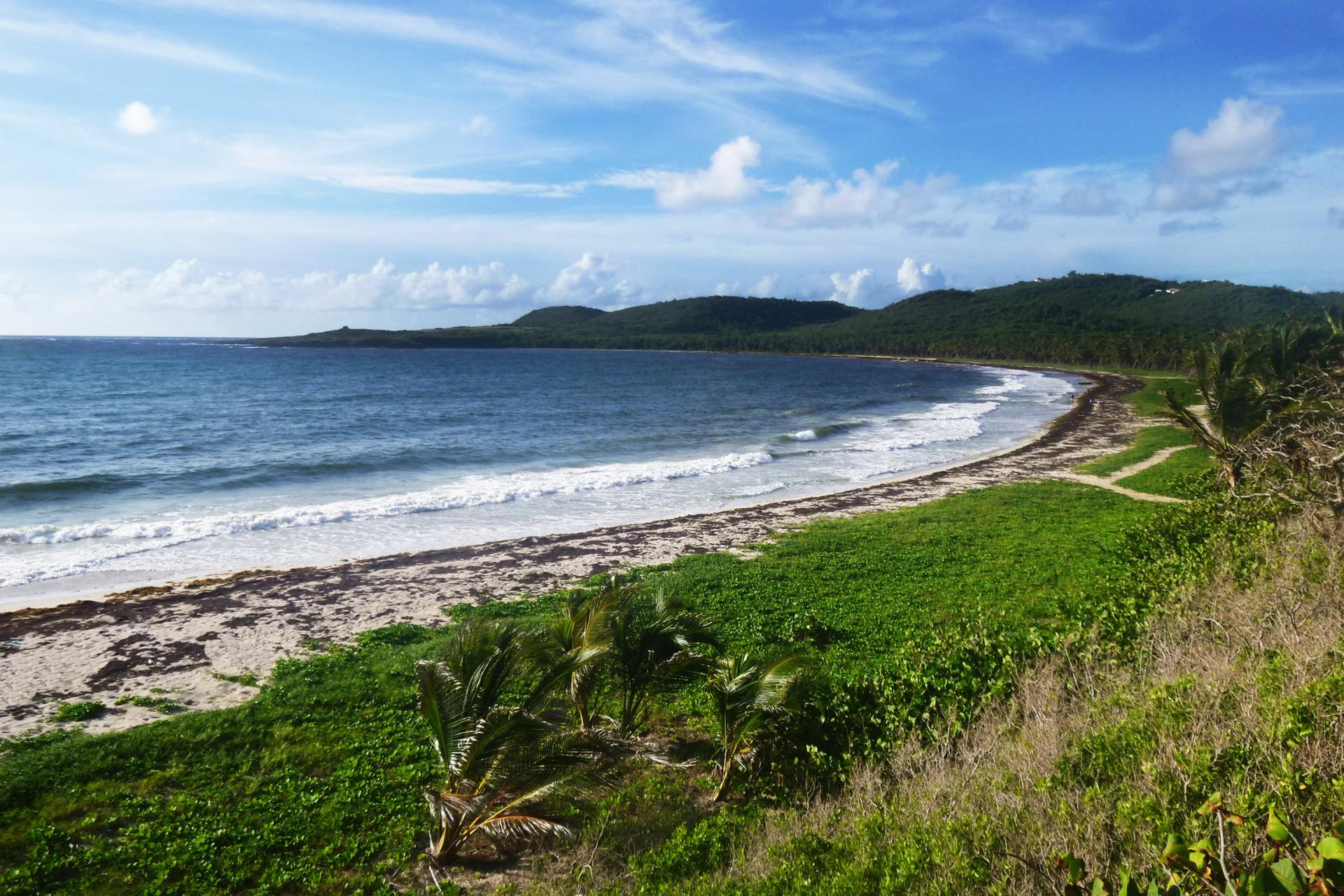 Plage Grand Macabou - Martinique