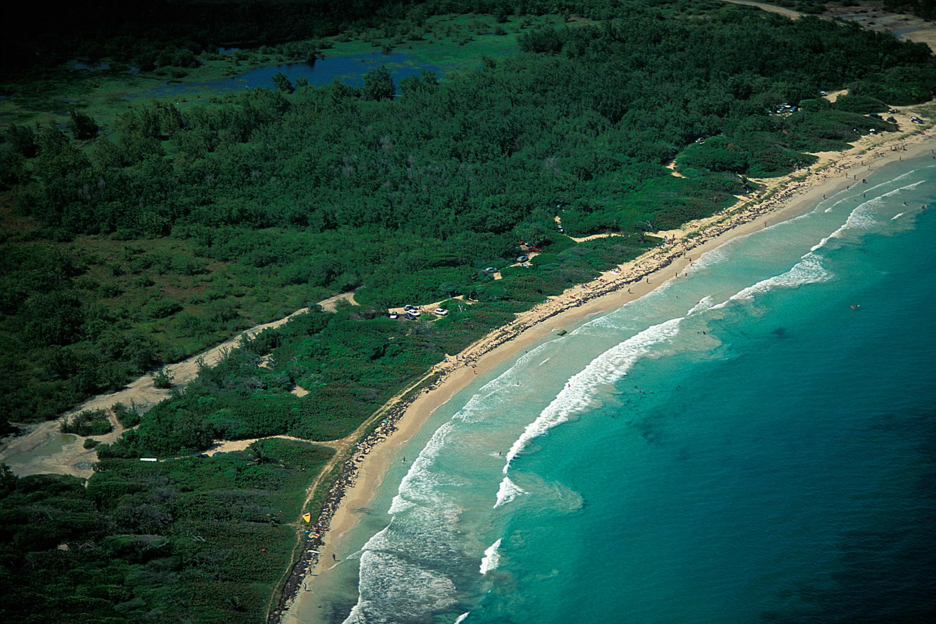 Anse Trabaud beach - Shy view