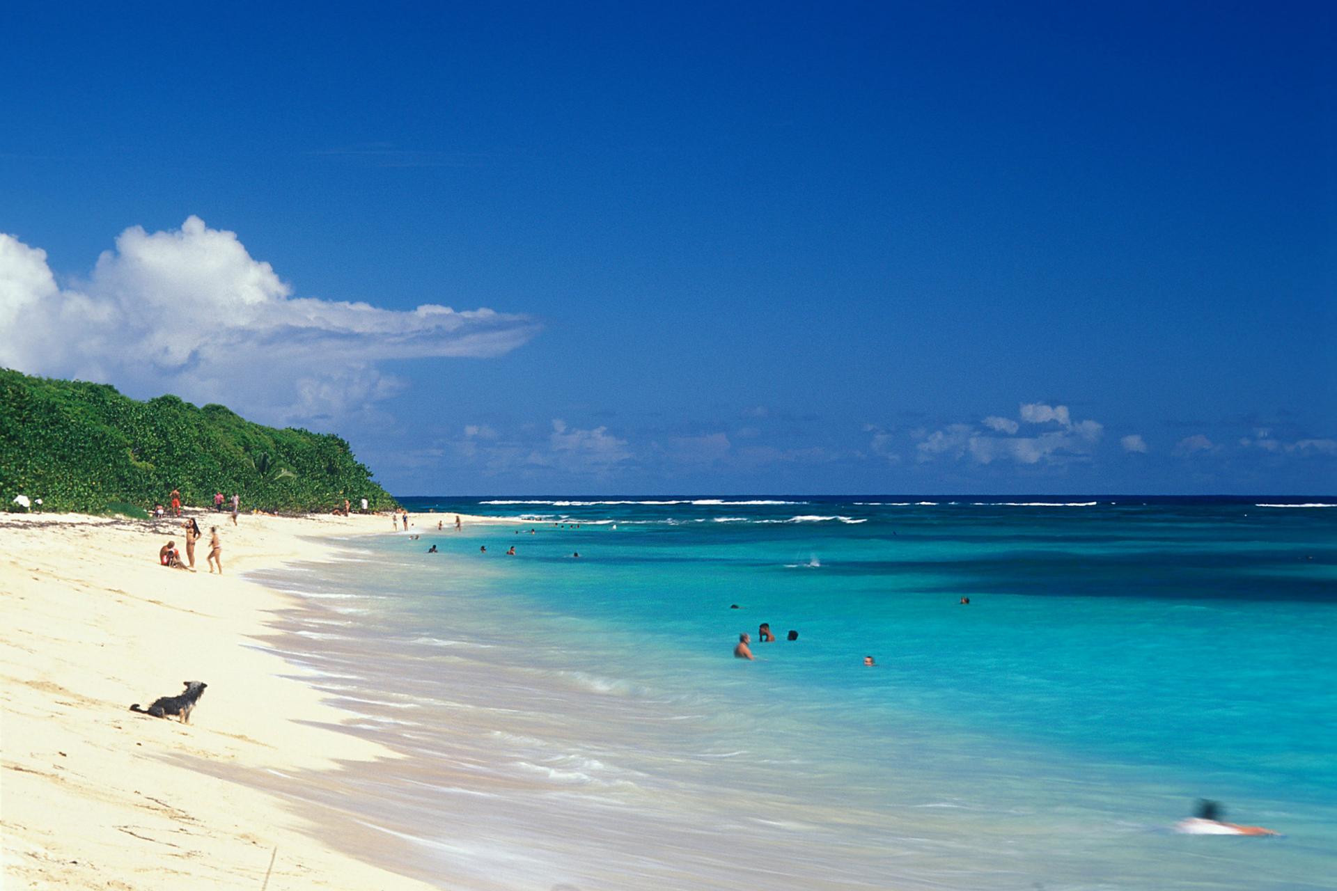 Plage Cap Macré Martinique