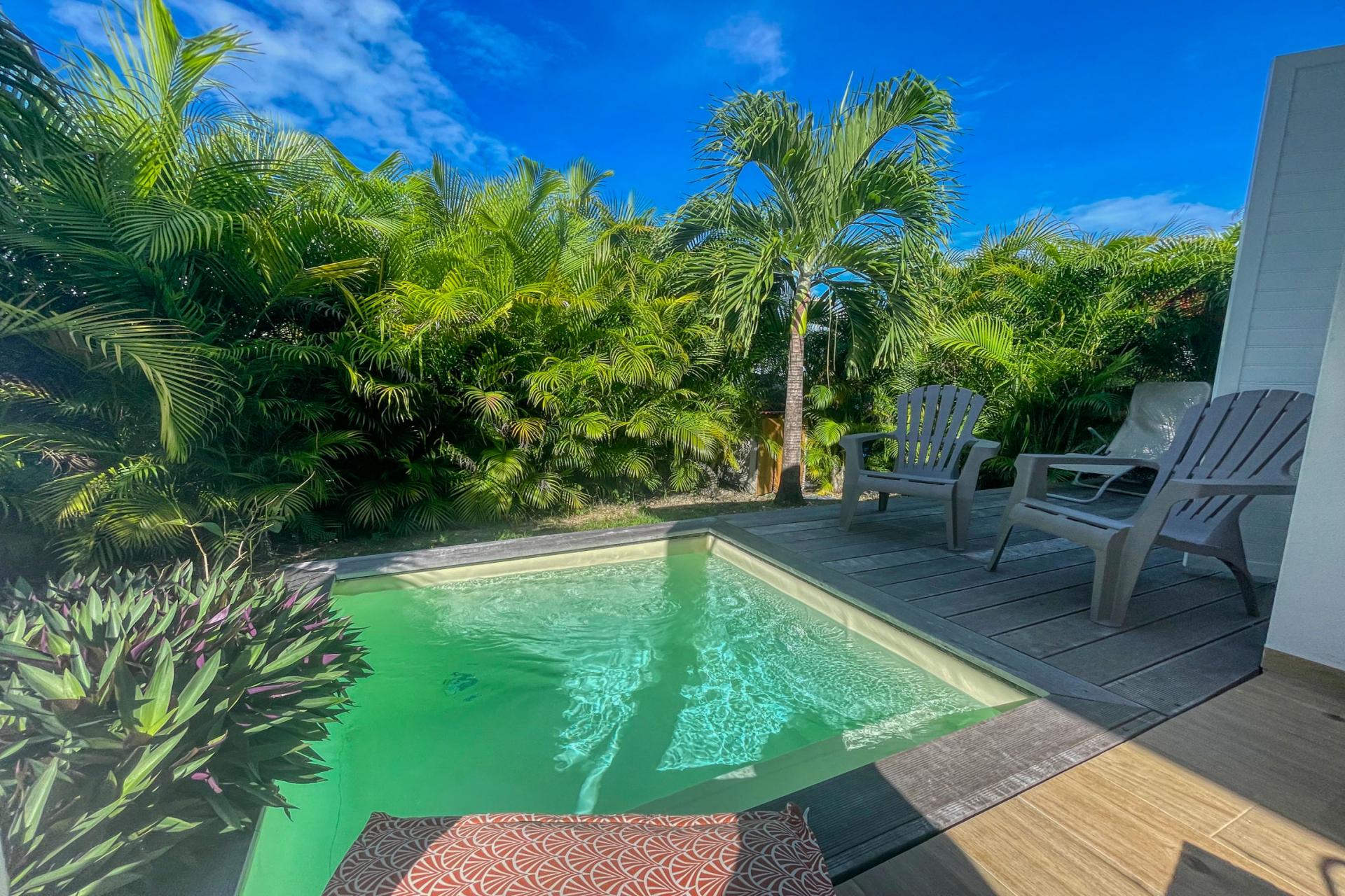 Location-villa-piscine-Saint-François-Guadeloupe_piscine