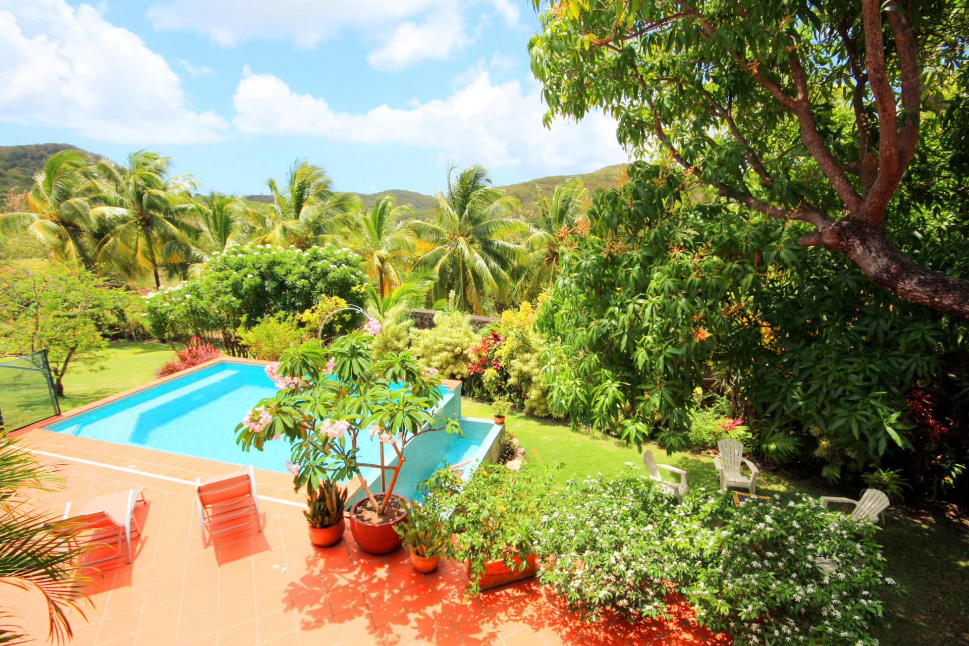 Villa Martinique - Sainte Anne - Terrace and swimming pool