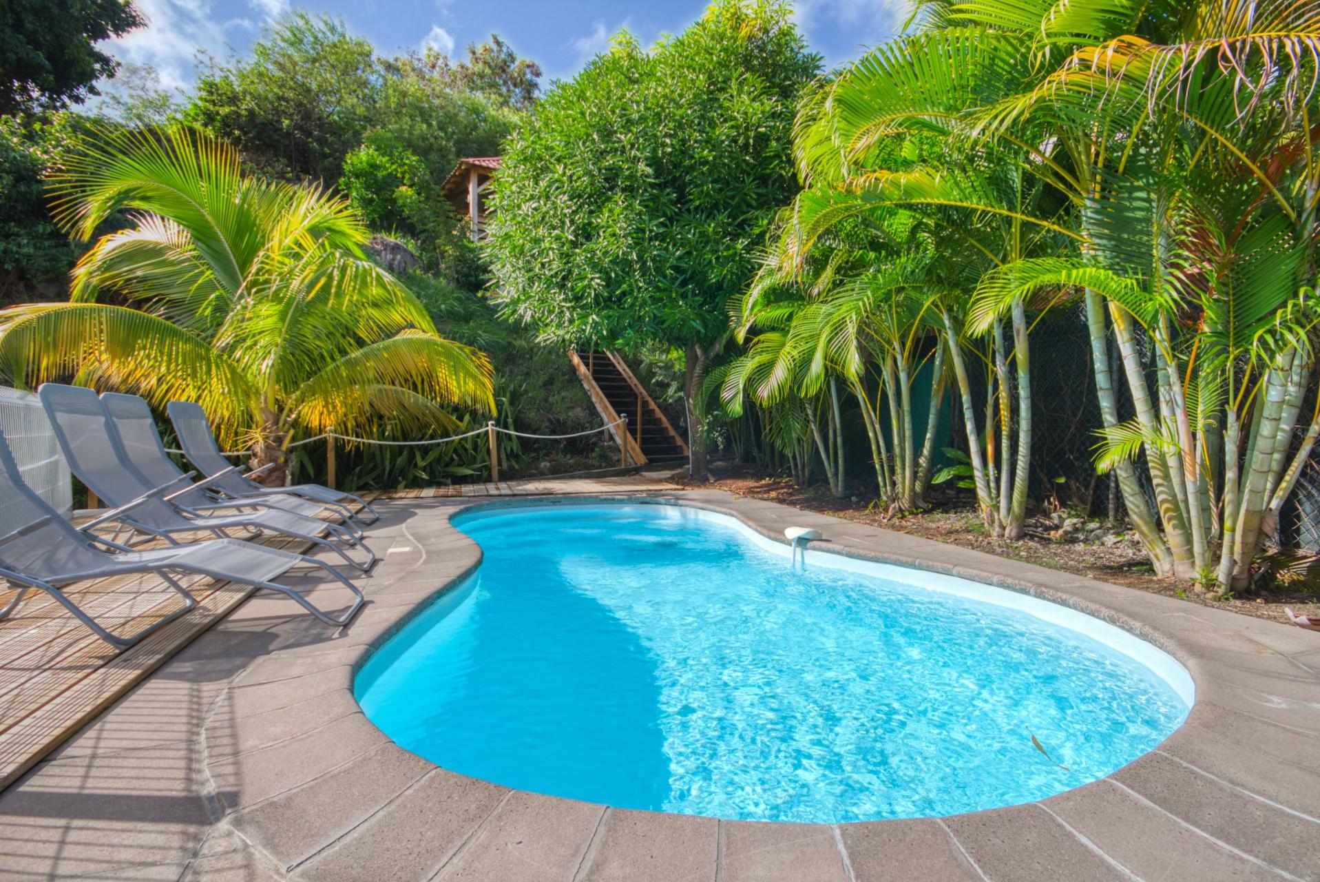 location maison martinique avec piscine à sainte luce