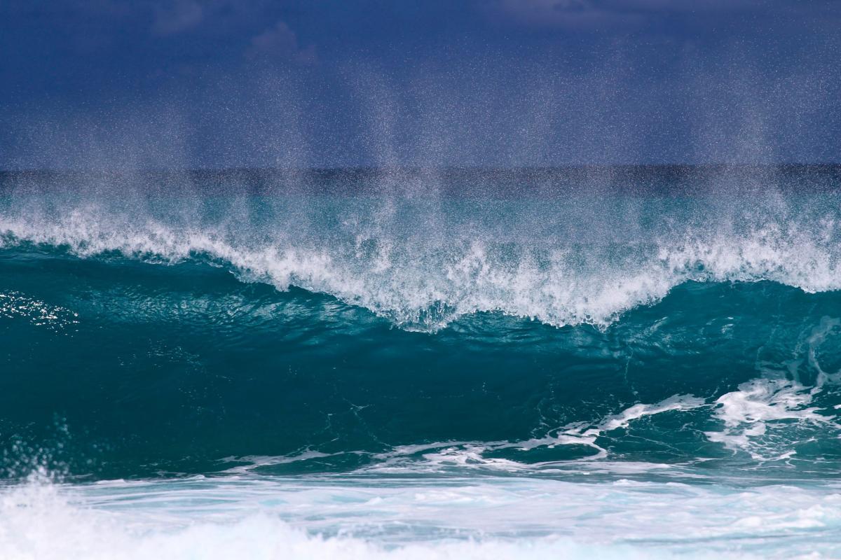 Surf-en-guadeloupe-Surfexcellence