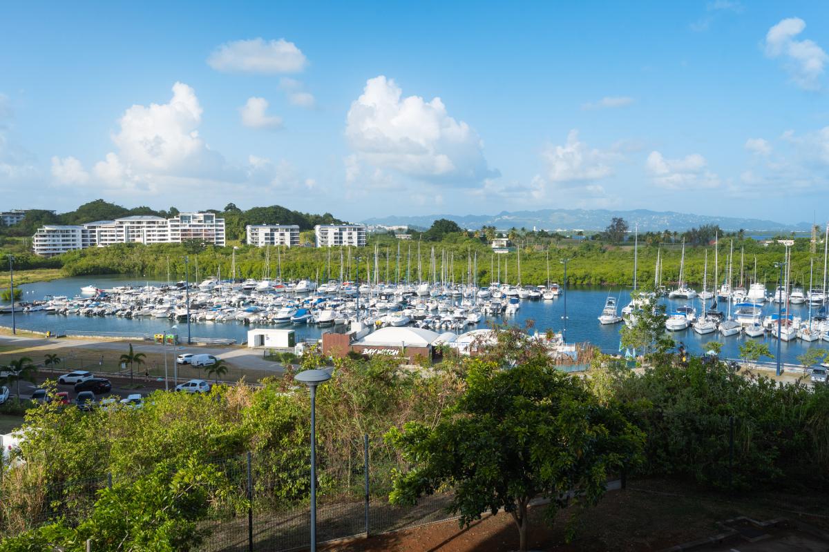 location-hauteurs-fort-de-france-quartier-residentiel-calme