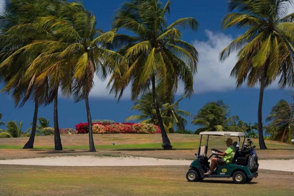 Paysage-Golf-Saint-François-Guadeloupe-par-Sportihome
