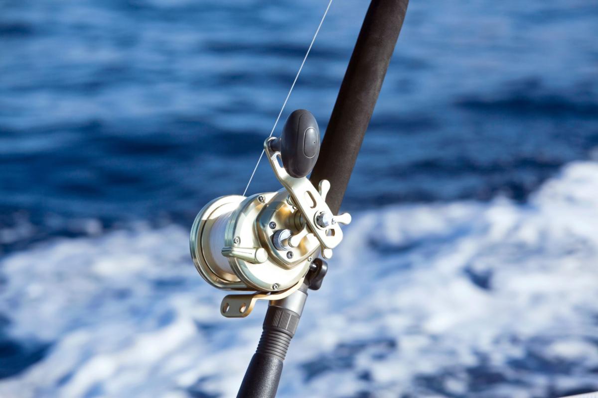 Troling-en-pêche-au-Gros-Antillies-Exception