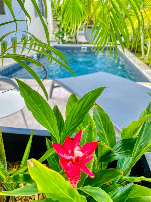 Location villa 4 chambres 8 personnes avec piscine au Moule Guadeloupe