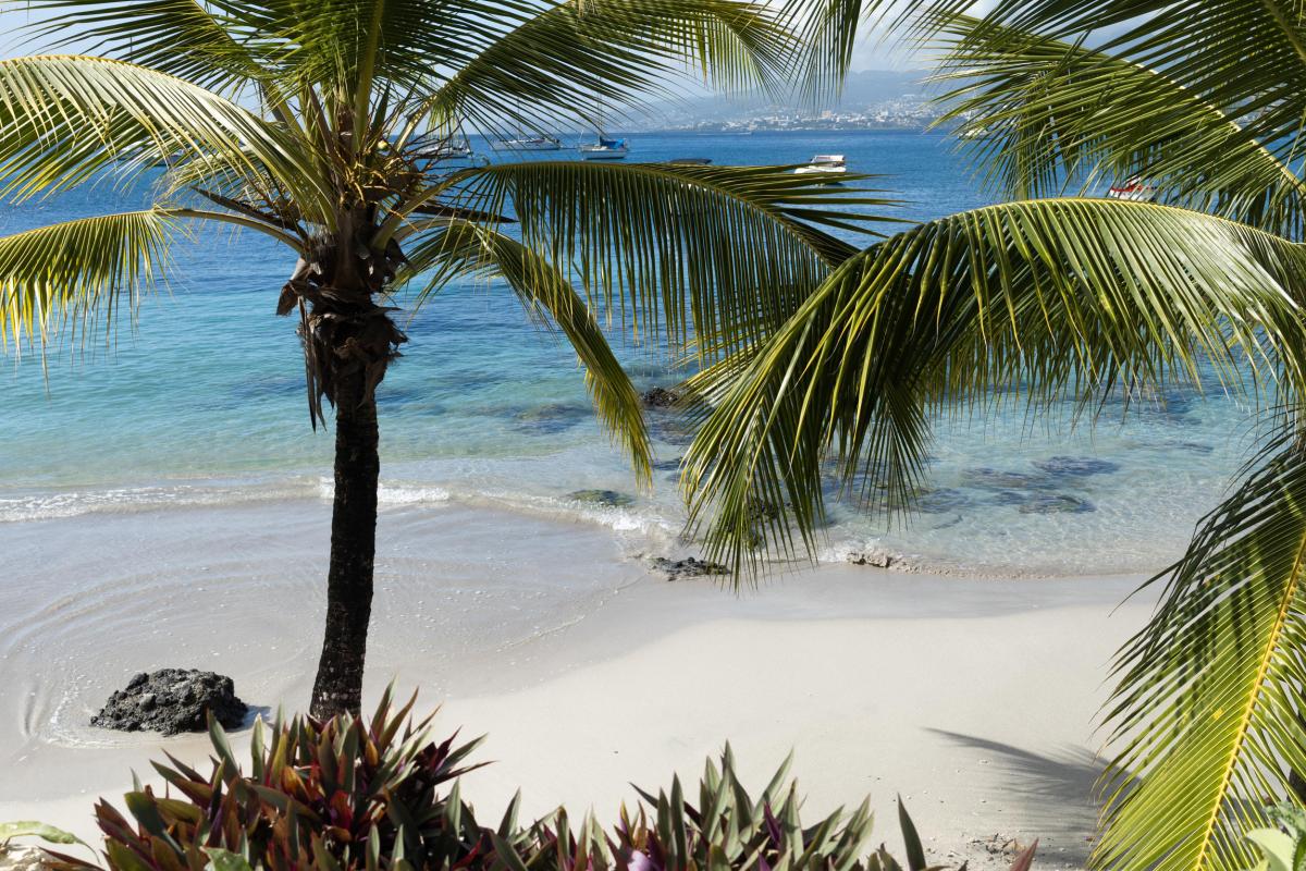 13-Location-studio-Martinique---Vue