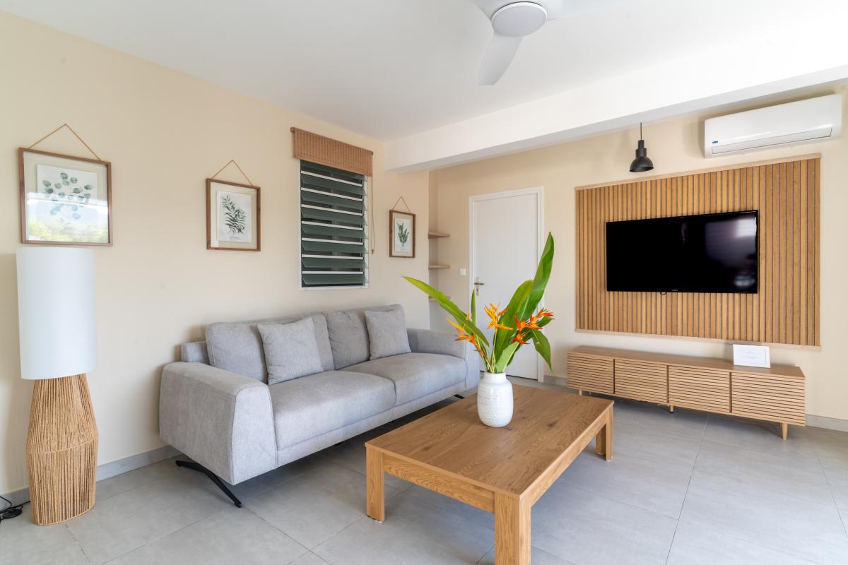 sejour-salon-amenage-appartement-t2-diamant