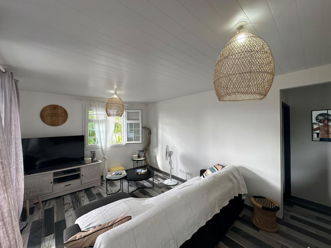 salon-interieur-climatise-tv-connectee-sainte-anne