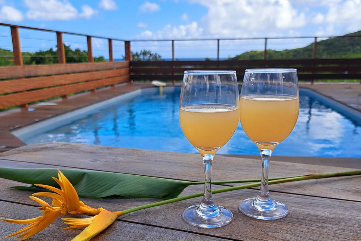 Location-villa-Martinique-Le-Diamant---Piscine
