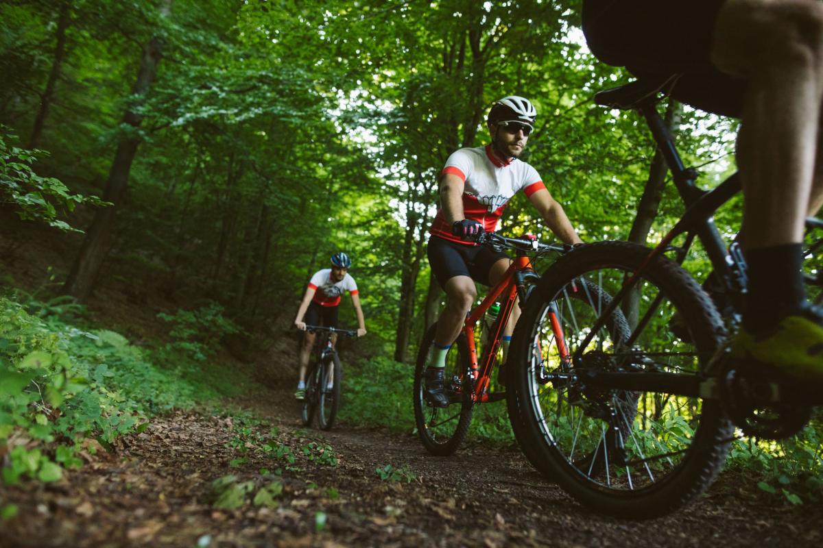 Antilles-Exception-Vtt-et-Vélo-en-Foret
