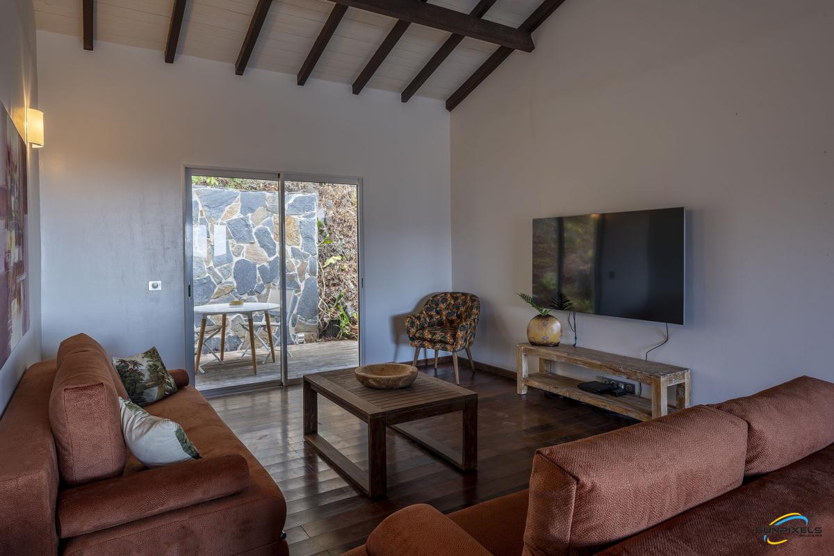 salon-ouvert-villa-4-chambres-anses-darlet-télé
