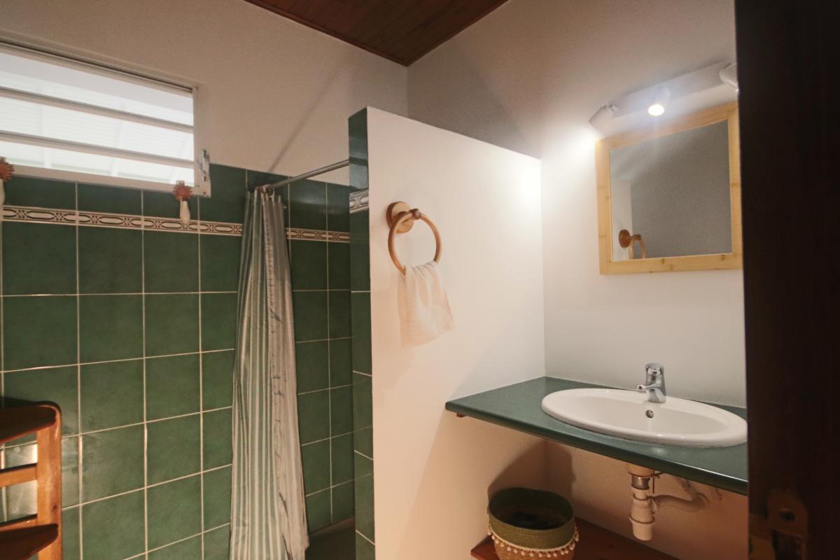 27-Location-villa-martinique_-Salle-d'eau-commune-douche-et-lavabo