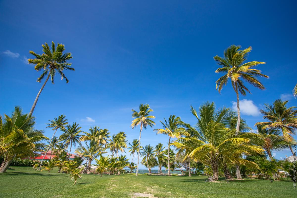 Location_Villa_Jardin_Les_Villas_Du_Lagons_Le_Francois_Cap_Est_Martinique_02