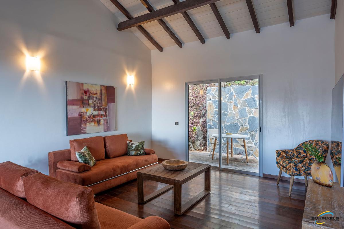 salon-ouvert-villa-4-chambres-anses-darlet