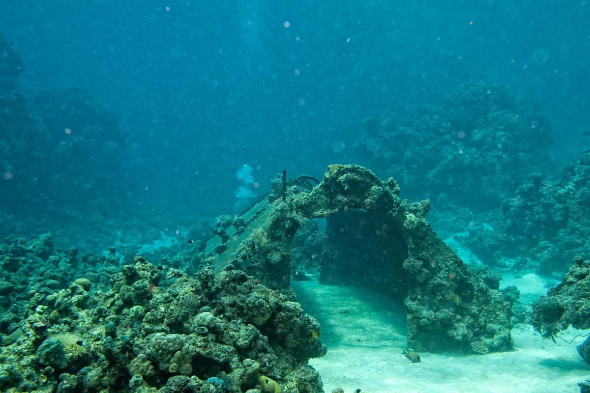Guadeloupe-Plongée-sous-marine