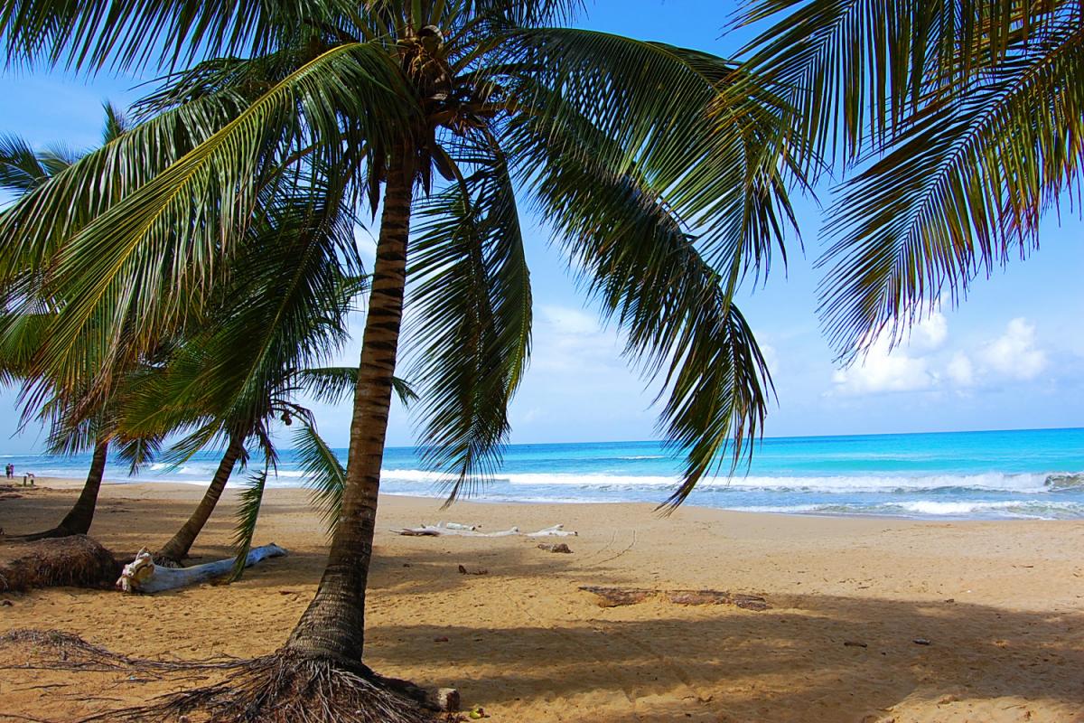 Playa Coson - Las Terrenas - République Dominicaine