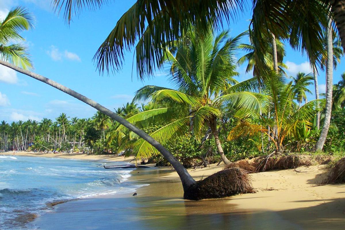 Playa Coson Las Terrenas République Dominicaine