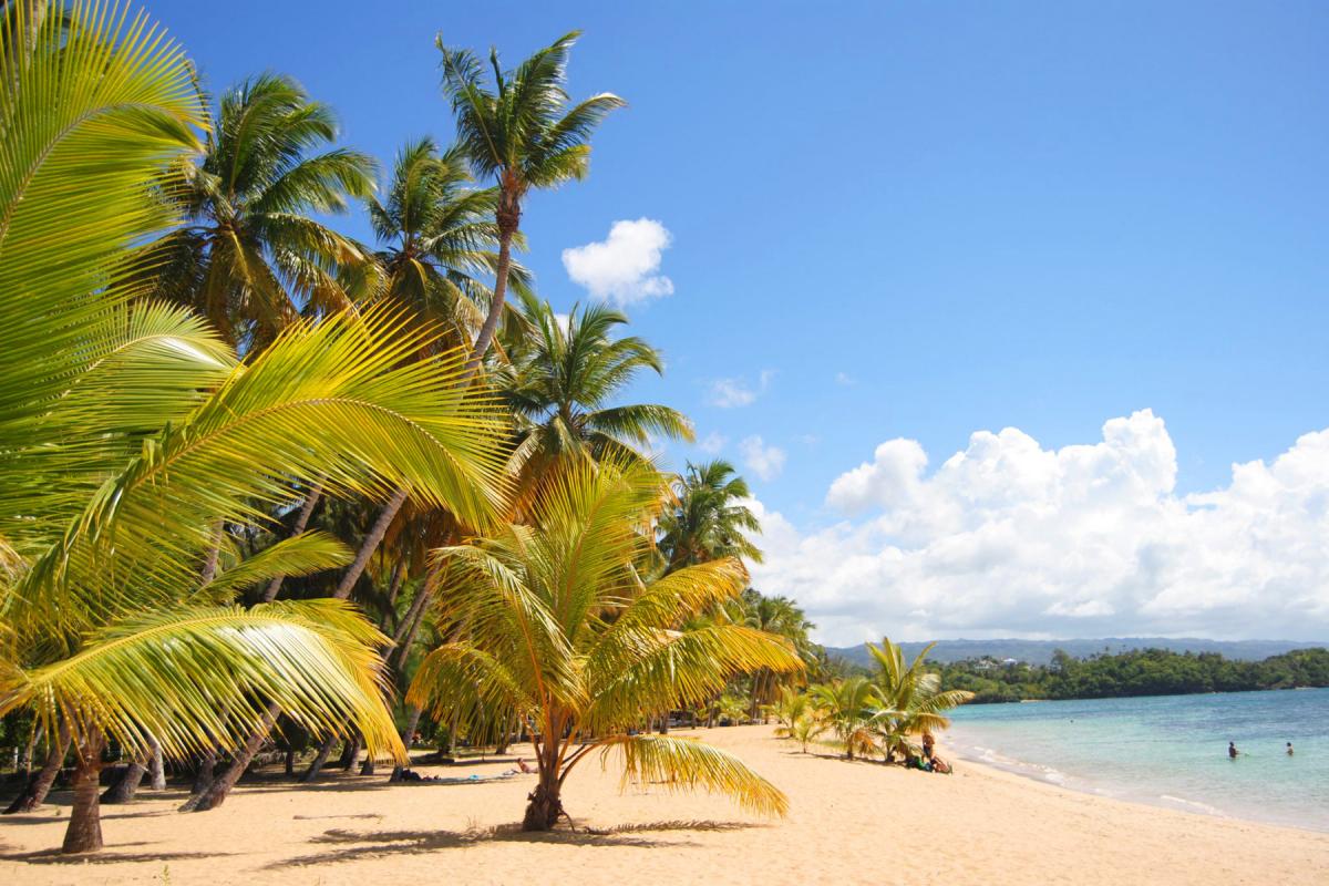 Playa Ballenas - Las Terrenas - République Dominicaine